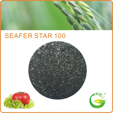 Seaweed Fertilizer with NPK